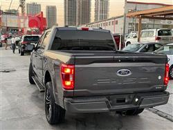 فۆرد F-150